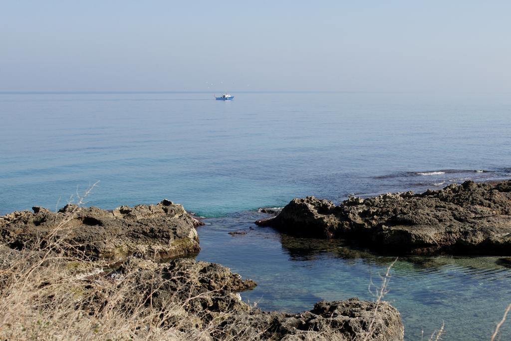 Midie Savelletri Bagian luar foto